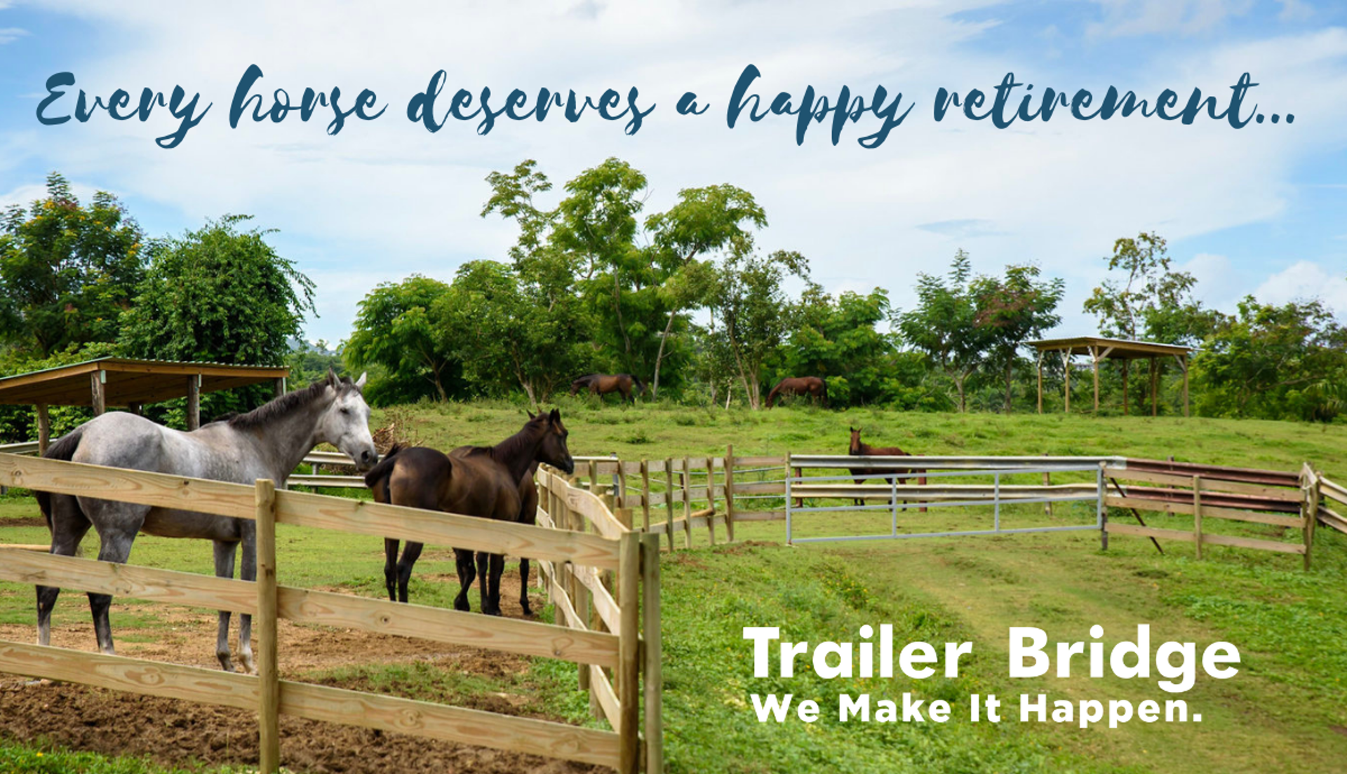 Caribbean Thoroughbred Aftercare Blog Header 1